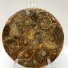 Placa decorativa con amonita fosilizada, diámetro 11 cm ±, con base de 15×10 cm+