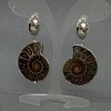 Pendientes naturales de amonita, diámetro 32×27 mm, longitud 53 mm