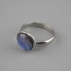 Pendiente de Haliotis 12 mm ±, acabado en metal plateado